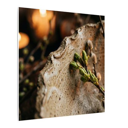 Overcast Ceramic Bowl Canvas Art - Japandi Ma