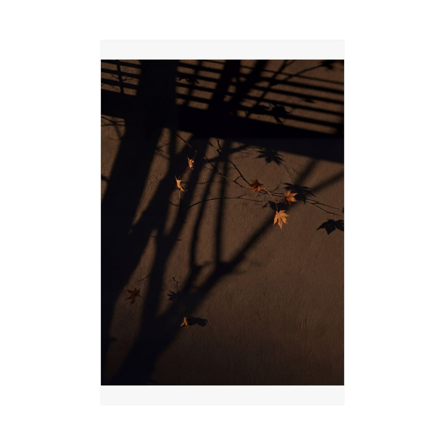 Autumn Shadow Play Shadow Zen Wall Art Print | Sophisticated Decor
