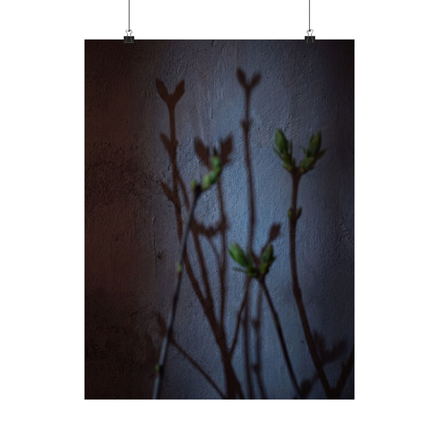 Spring Shadow Play Shadow Zen Wall Art Print | Moody Decor