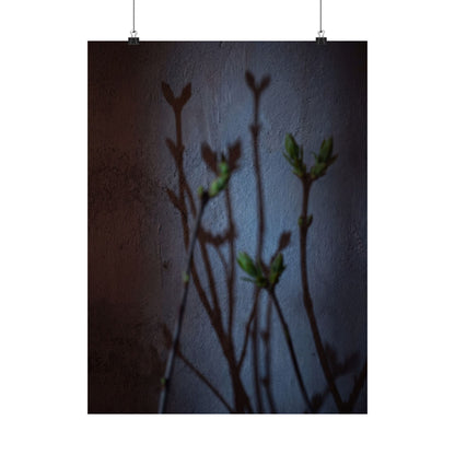 Spring Shadow Play Shadow Zen Wall Art Print | Moody Decor