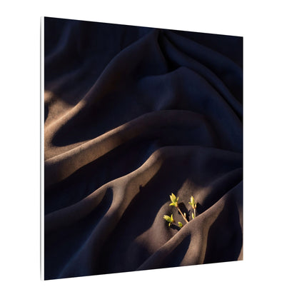 Silk Drape Shadow Zen Canvas Art | Luxurious Dark Japandi Art