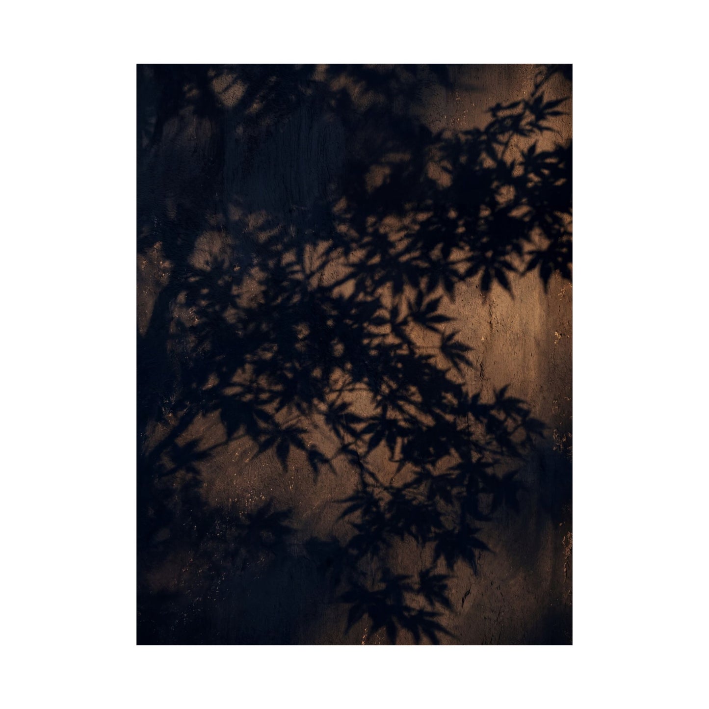 Shadow Play Shadow Zen Wall Art Print | Atmospheric Dark Japandi Art