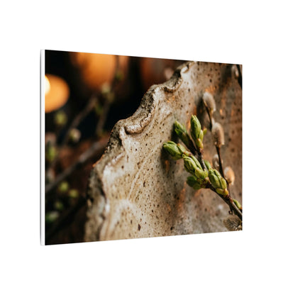 Overcast Ceramic Bowl Canvas Art - Japandi Ma