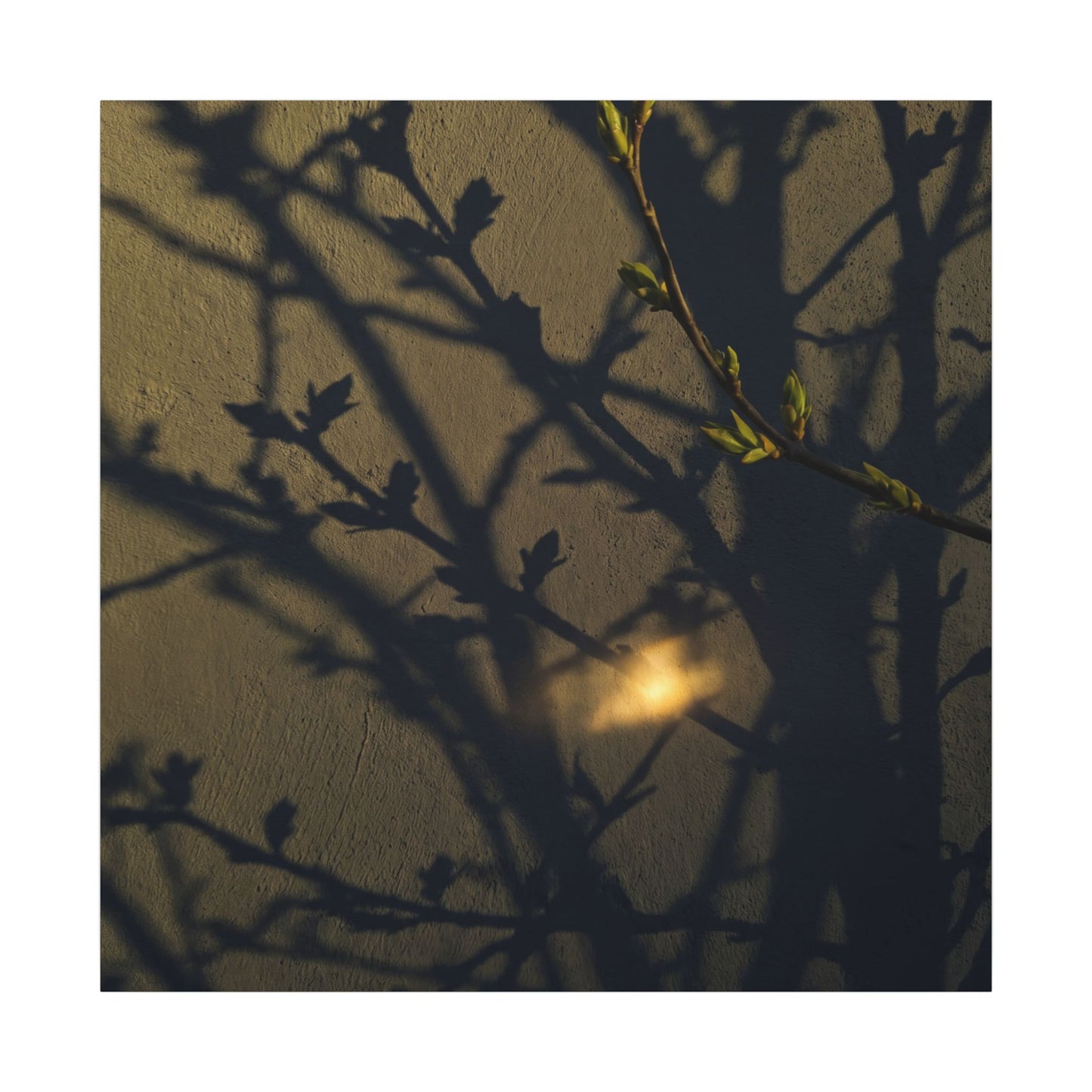 Bold Shadow Play Canvas Art - Moody Minimal Dark Japandi