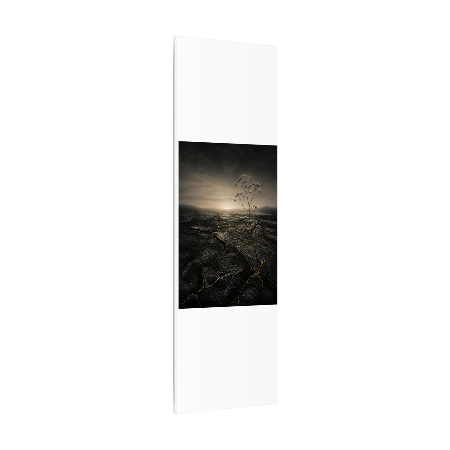 Dawn Cracked Earth Canvas Art - Dark Japandi Mono No Aware