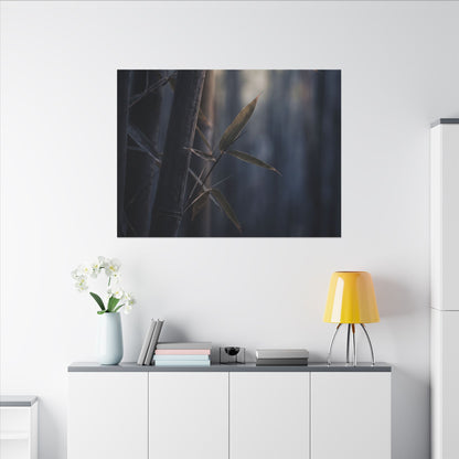 Dark Japandi Bamboo Grove in Dawn | Moody Minimal Canvas Art