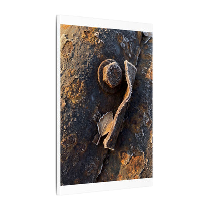 Moody Rust Patina Canvas Art - Moody Minimal Dark Japandi