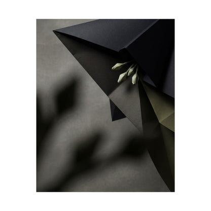 Paper Fold Wall Art Print | Spring Dark Japandi Moody Minimal Art