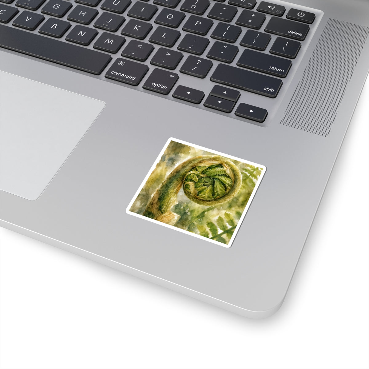 Japandi Fern Unfurling in Dappled | Watercolor Sticker