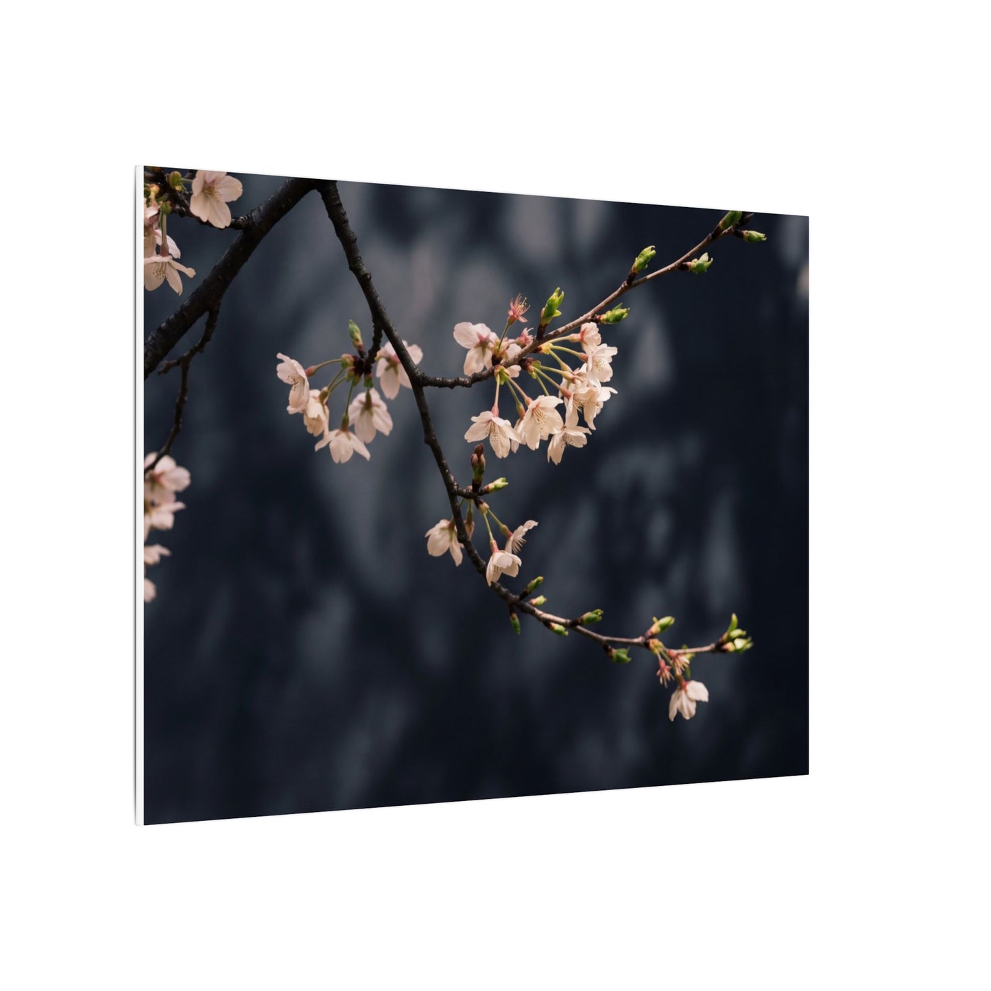 Cherry Blossom Moody Minimal Canvas Art | Bold Dark Japandi Art