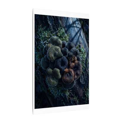 Wild Mushrooms Moody Minimal Canvas Art | Moody Dark Japandi Art