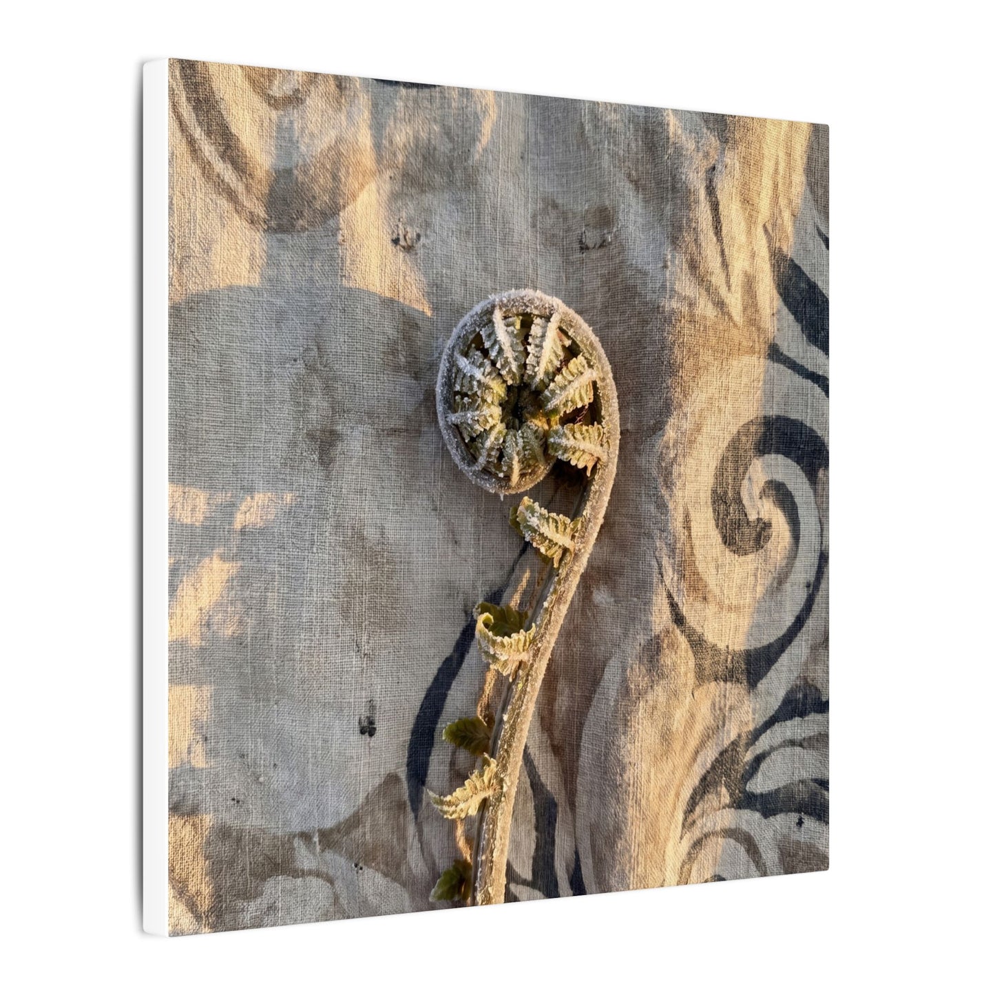 Fern Unfurling Canvas Art | Winter Japandi Japanese Pattern Art