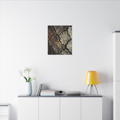 Earthy Cracked Earth Canvas Art - Japanese Pattern Japandi