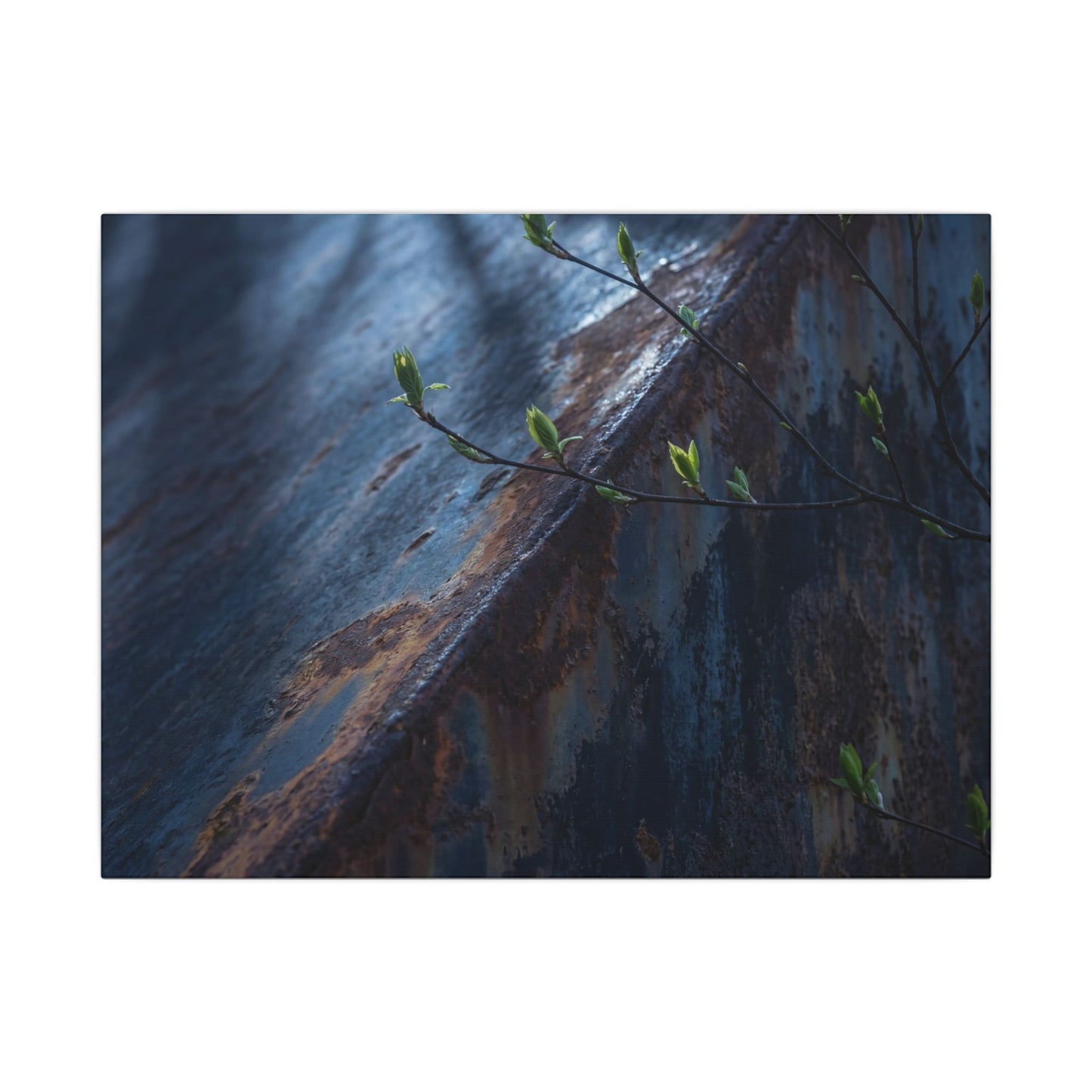 Rust Patina Canvas Art | Spring Dark Japandi Shadow Zen Art Art Print