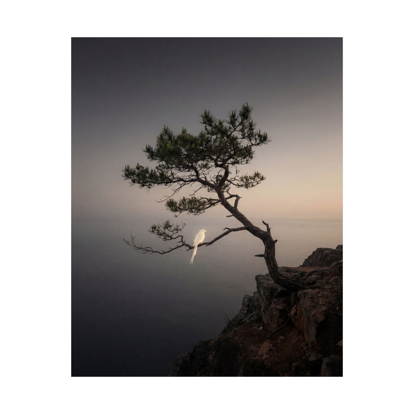 Moody Pine Tree Wall Art Print - Moody Minimal Dark Japandi
