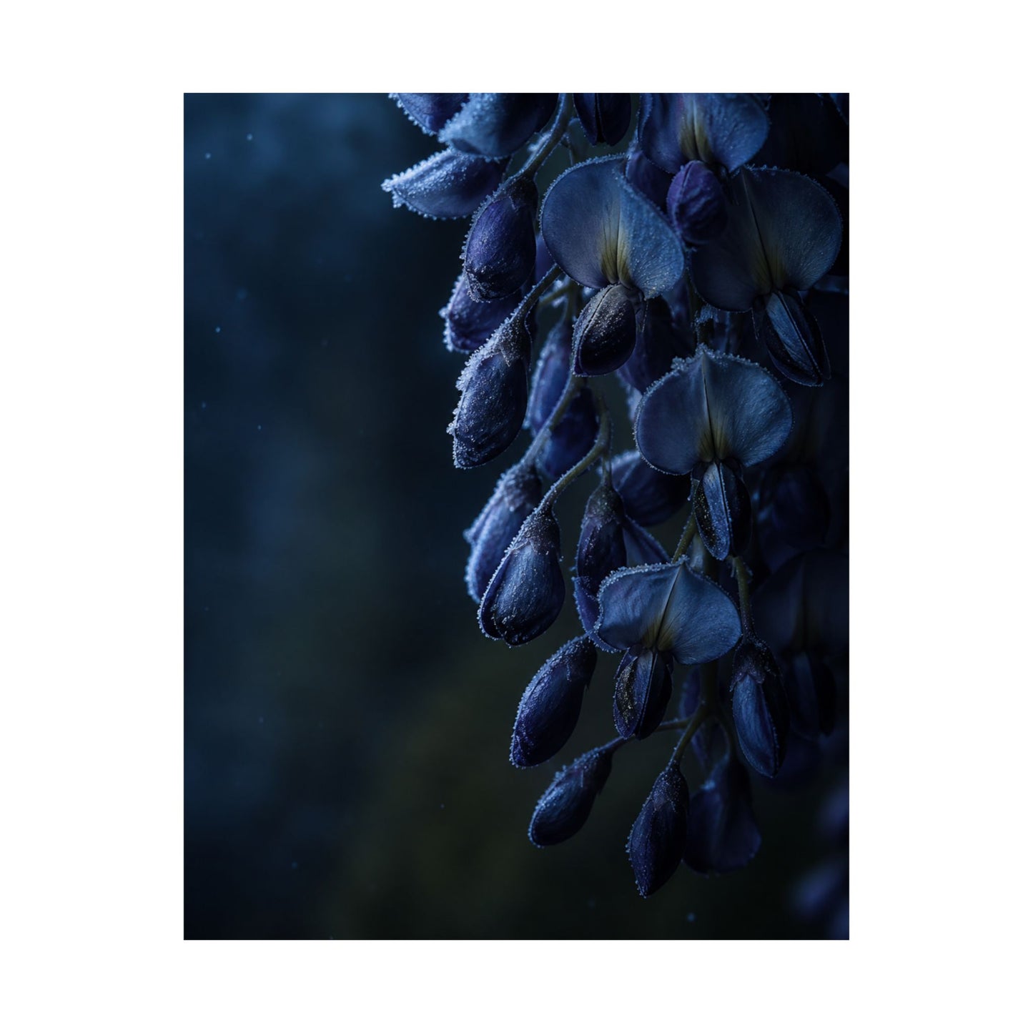 Wisteria Shadow Zen Wall Art Print | Sophisticated Dark Japandi Art