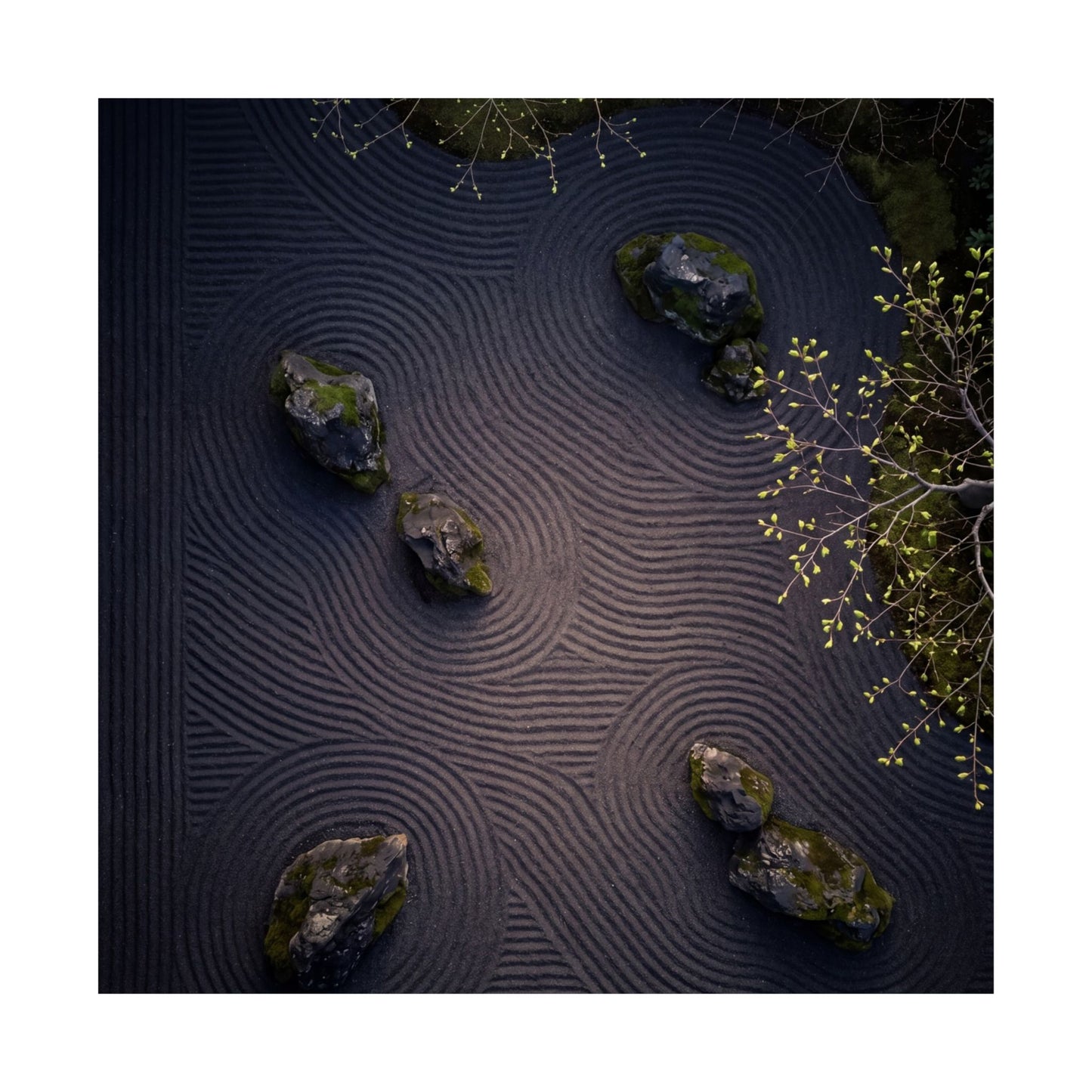 Rock Garden Shadow Zen Wall Art Print | Atmospheric Dark Japandi Art