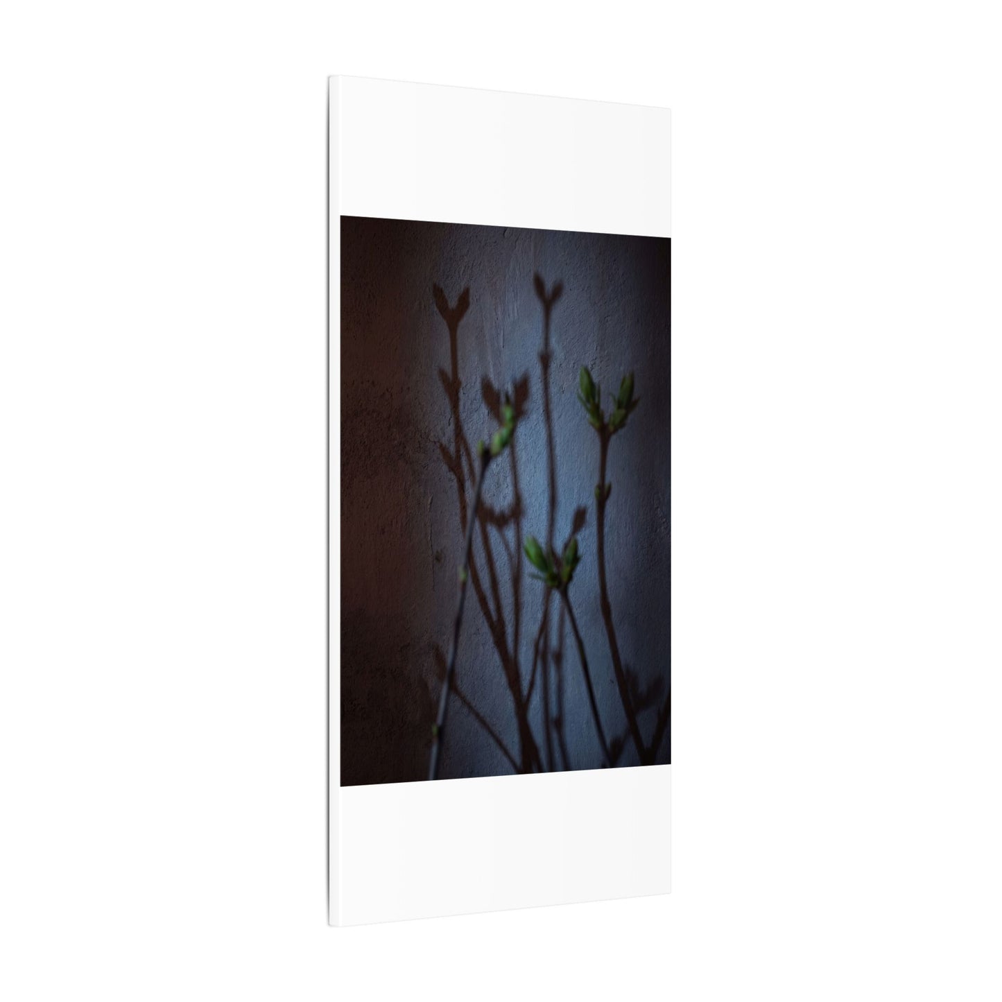 Shadow Play Spring Canvas Art | Dark Japandi Sophisticated Design