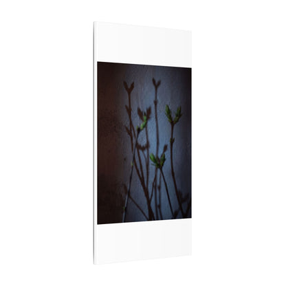 Shadow Play Spring Canvas Art | Dark Japandi Sophisticated Design