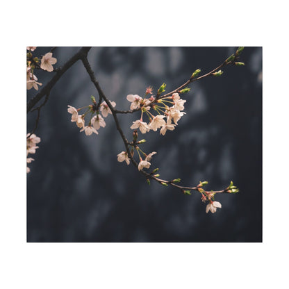 Cherry Blossom Moody Minimal Canvas Art | Bold Dark Japandi Art