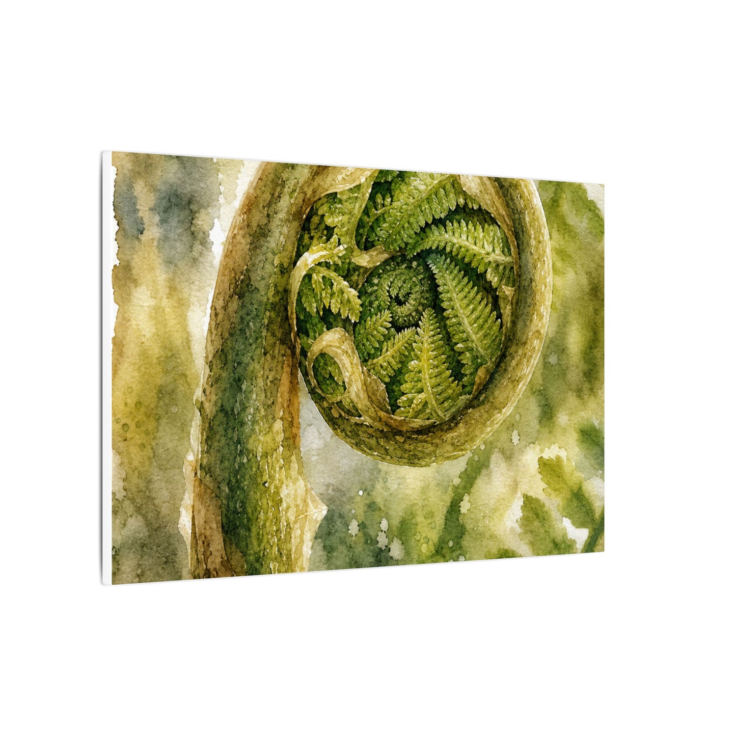 Japandi Fern Unfurling in Dappled | Watercolor Canvas Art