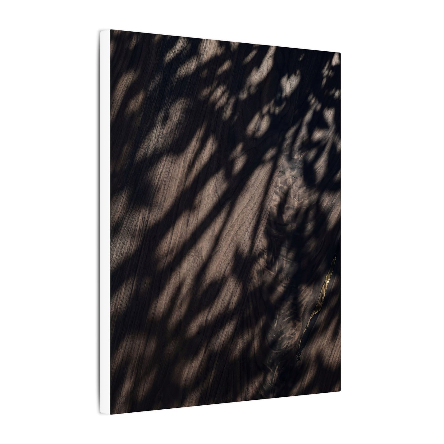 Shadow Play Summer Canvas Art | Dark Japandi Moody Design