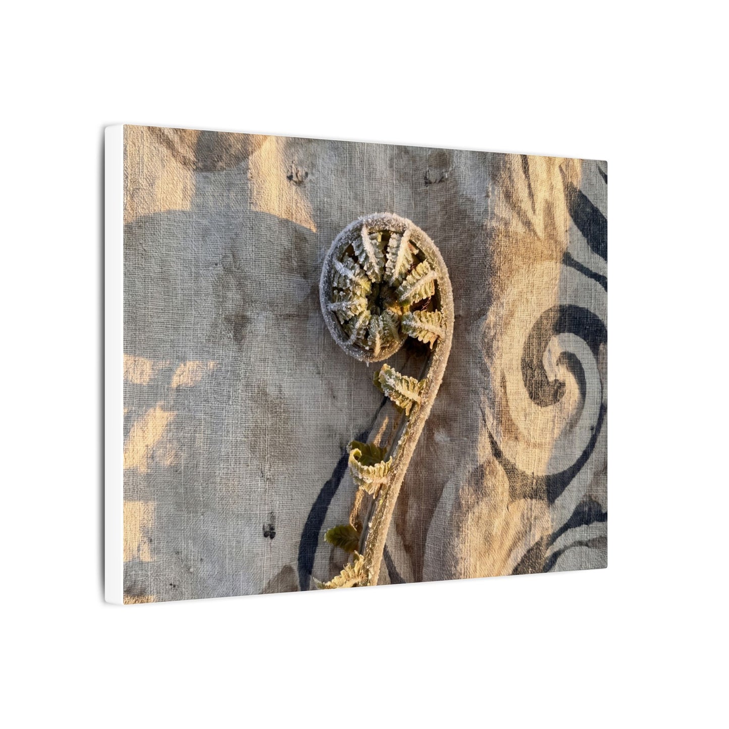 Fern Unfurling Canvas Art | Winter Japandi Japanese Pattern Art