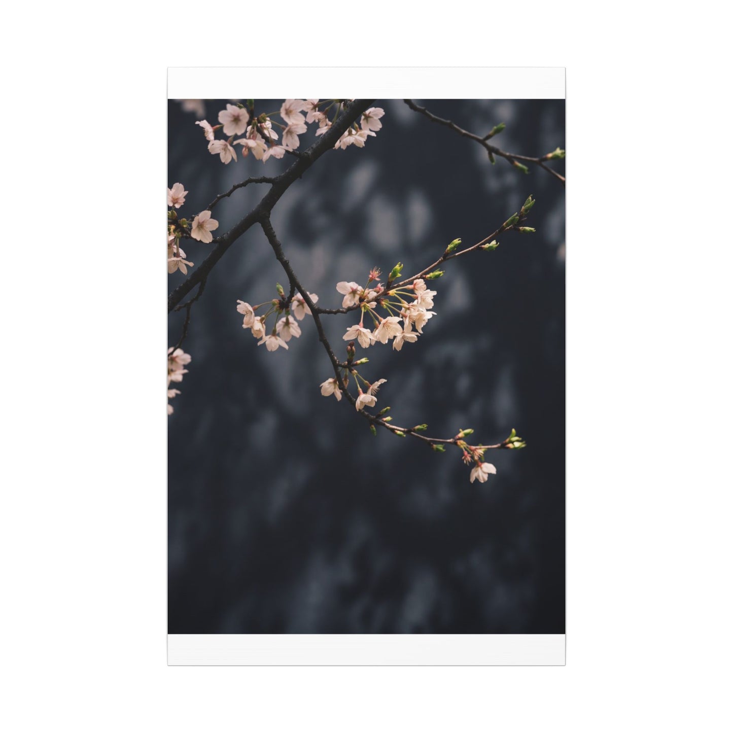 Cherry Blossom Moody Minimal Canvas Art | Bold Dark Japandi Art