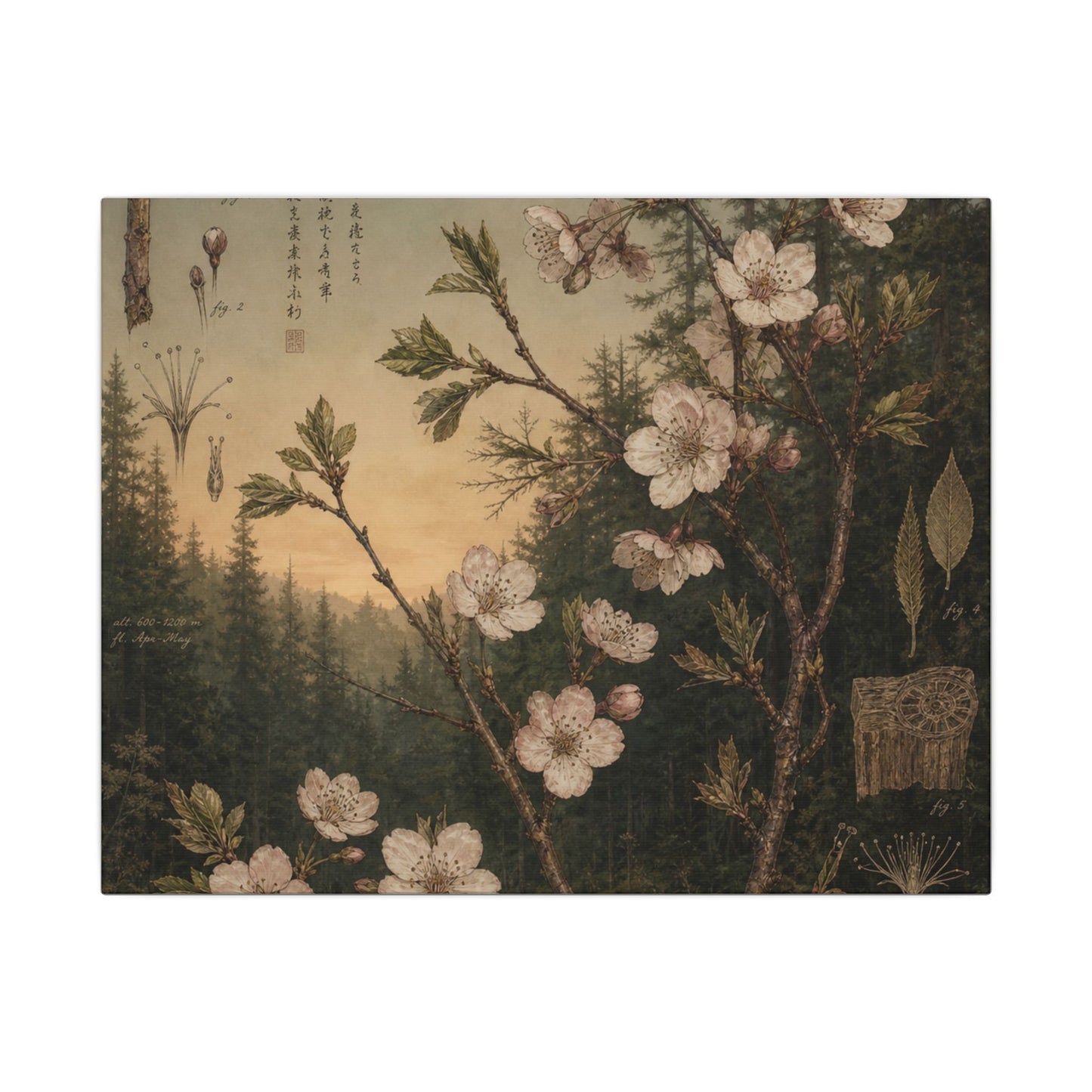 Spring Cherry Blossom Herbarium Canvas Art | Nostalgic Decor