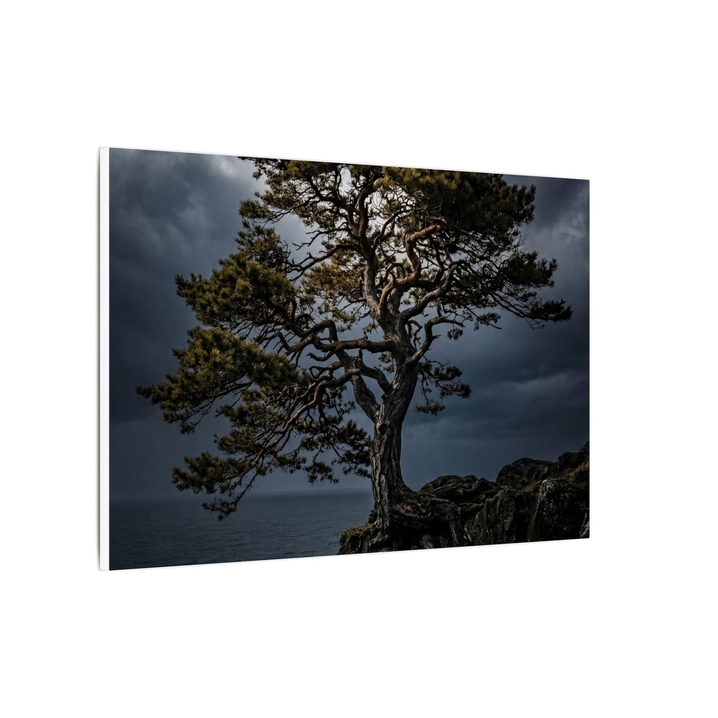 Dappled Pine Tree Canvas Art - Dark Japandi Fukinsei