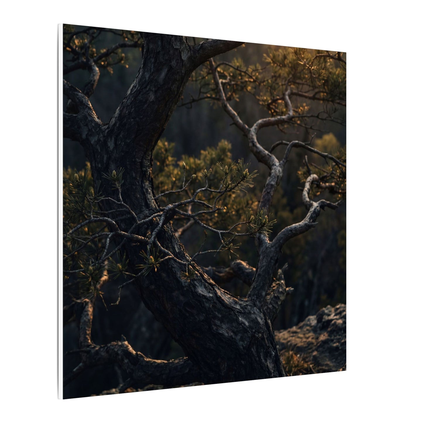 Moody Pine Tree Canvas Art - Moody Minimal Dark Japandi