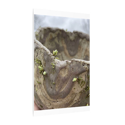Overcast Ceramic Bowl Canvas Art - Japandi Fukinsei