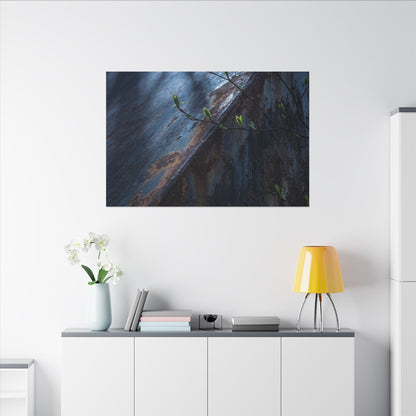 Rust Patina Canvas Art | Spring Dark Japandi Shadow Zen Art