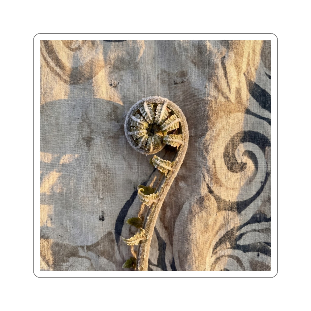 Fern Unfurling Japanese Pattern Sticker | Neutral Japandi Art