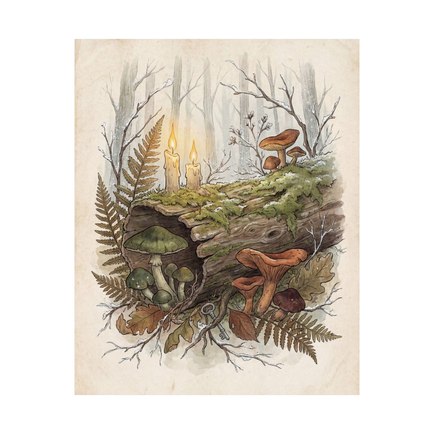 Winter Wild Mushrooms Herbarium Wall Art Print | Rustic Decor