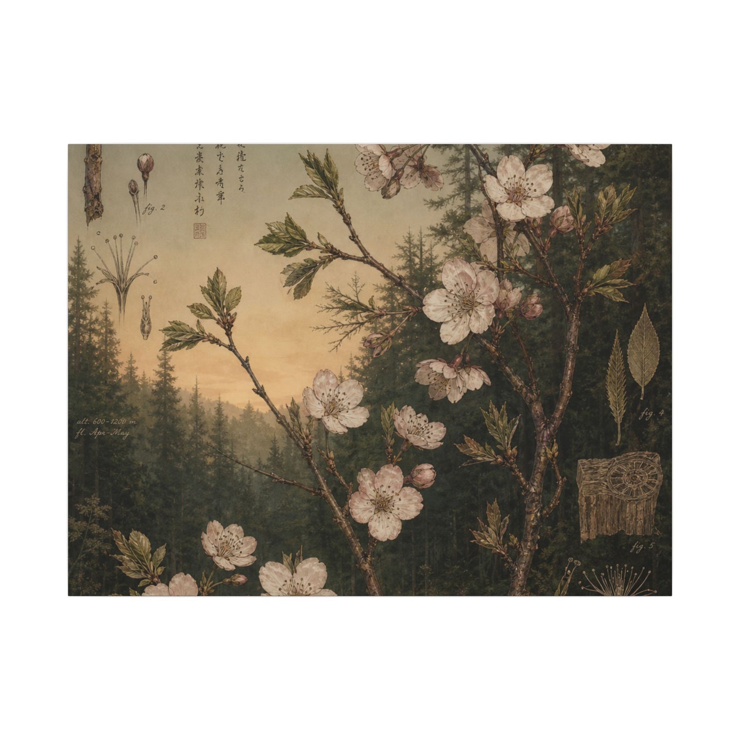 Spring Cherry Blossom Herbarium Canvas Art | Nostalgic Decor