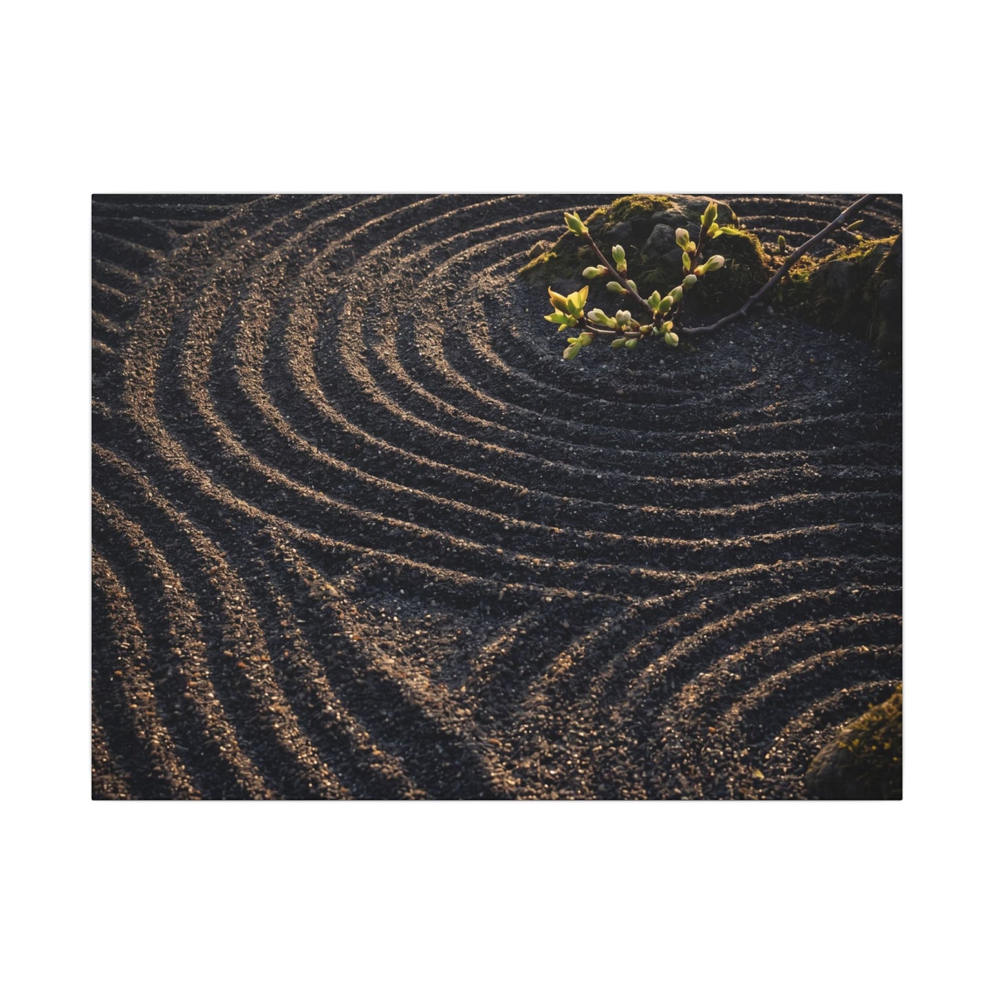 Spring Rock Garden Shadow Zen Canvas Art | Atmospheric Decor