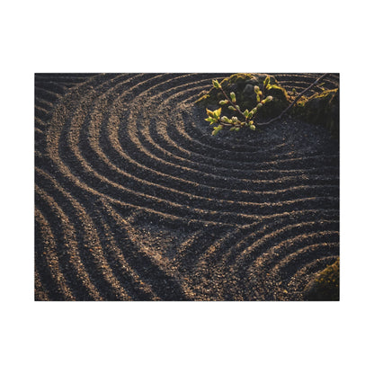 Spring Rock Garden Shadow Zen Canvas Art | Atmospheric Decor