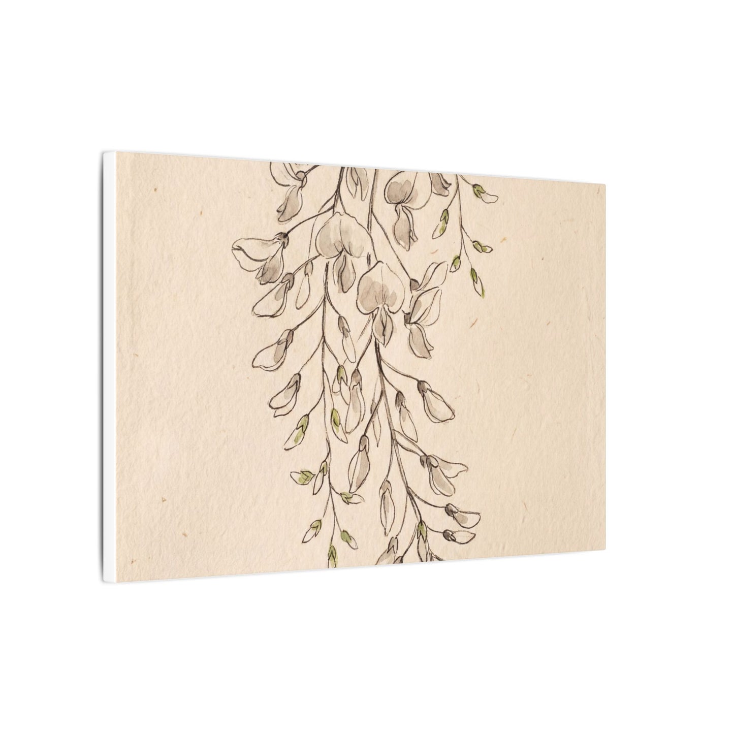 Japandi Wisteria in Golden Hour | Minimal Line Canvas Art
