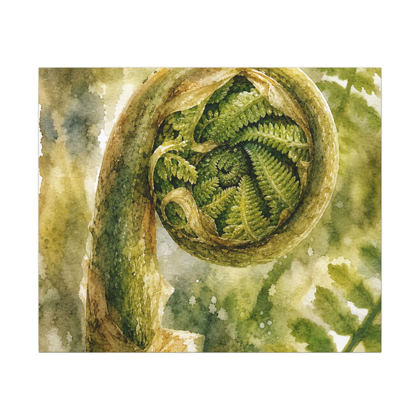 Japandi Fern Unfurling in Dappled | Watercolor Canvas Art