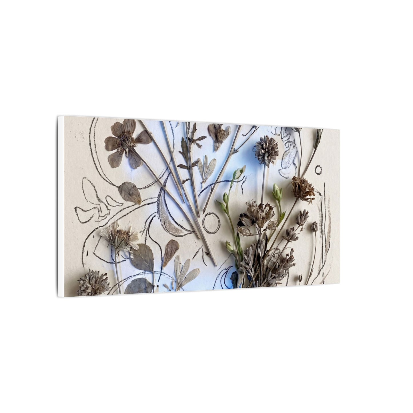 Dried Flowers Minimal Line Canvas Art | Elegant Japandi Art