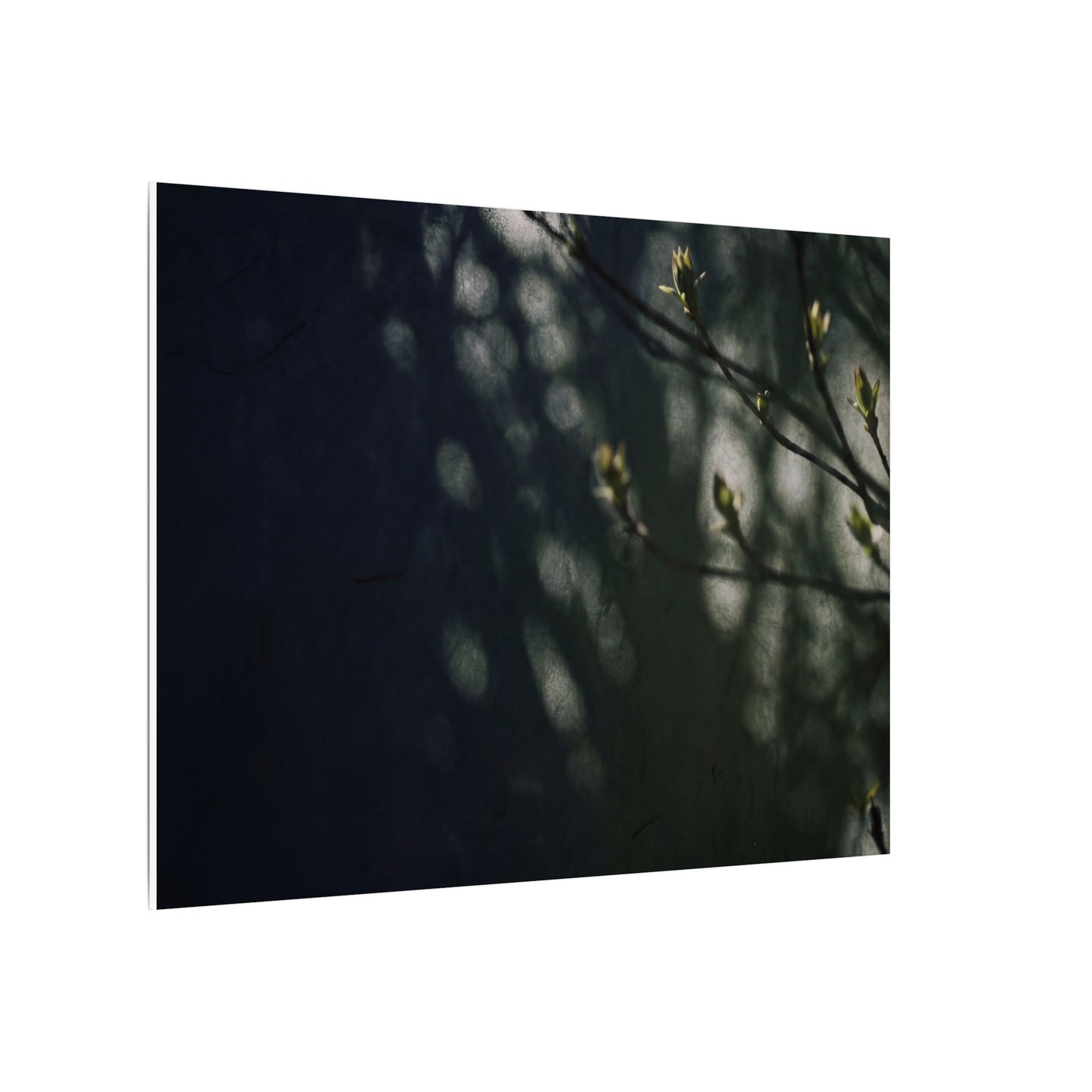 Dark Japandi Shoji Screen in Dappled | Moody Minimal Canvas Art