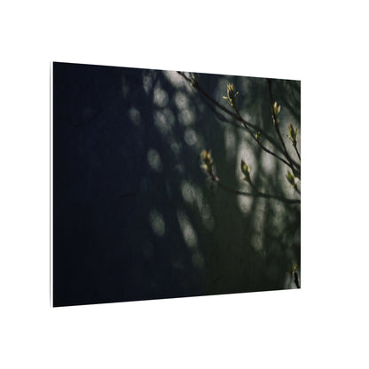 Dark Japandi Shoji Screen in Dappled | Moody Minimal Canvas Art