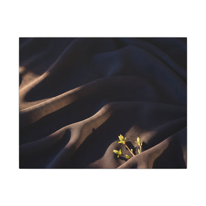 Silk Drape Shadow Zen Canvas Art | Luxurious Dark Japandi Art Art Print