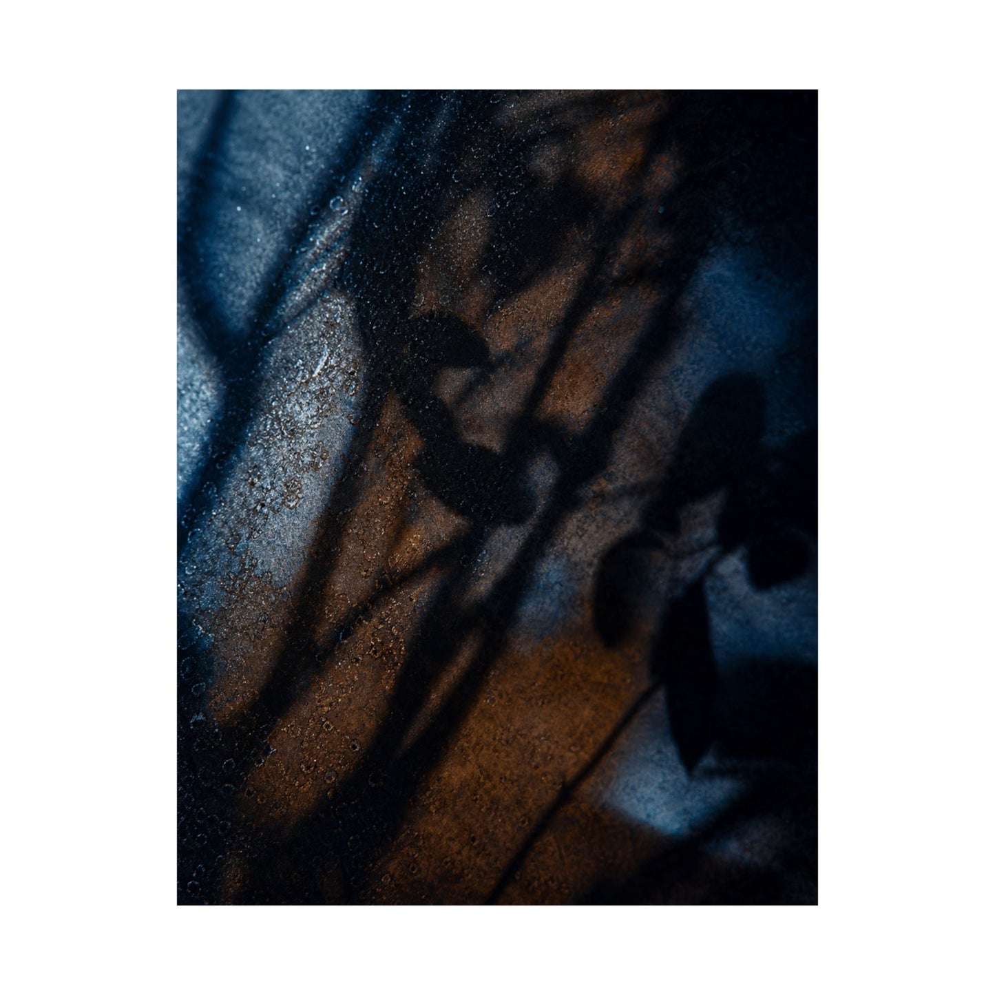 Winter Shadow Play Moody Minimal Wall Art Print | Luxurious Decor