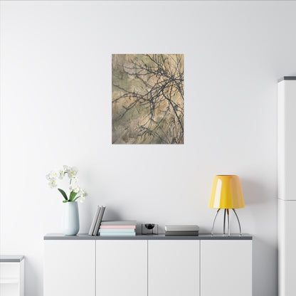 Japandi Shadow Play in Golden Hour | Texture Canvas Art