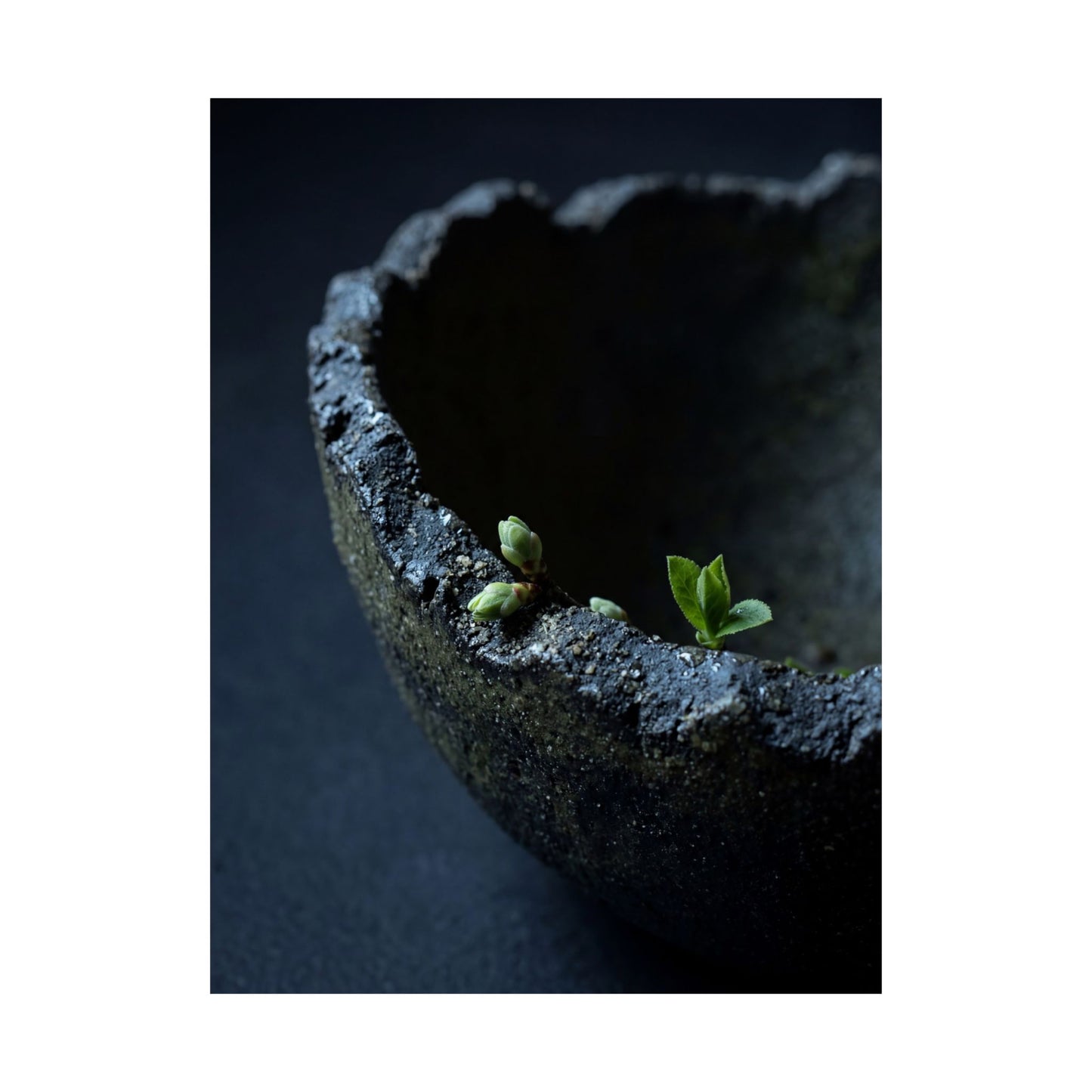 Datsuzoku Ceramic Bowl Wall Art Print - Dark Japandi Moody Minimal