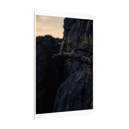 Pine Tree Moody Minimal Canvas Art | Sophisticated Dark Japandi Art