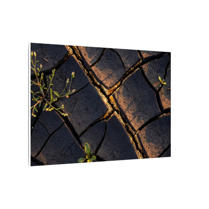 Kintsugi Cracked Earth in Golden Hour | Gold Vein Canvas Art