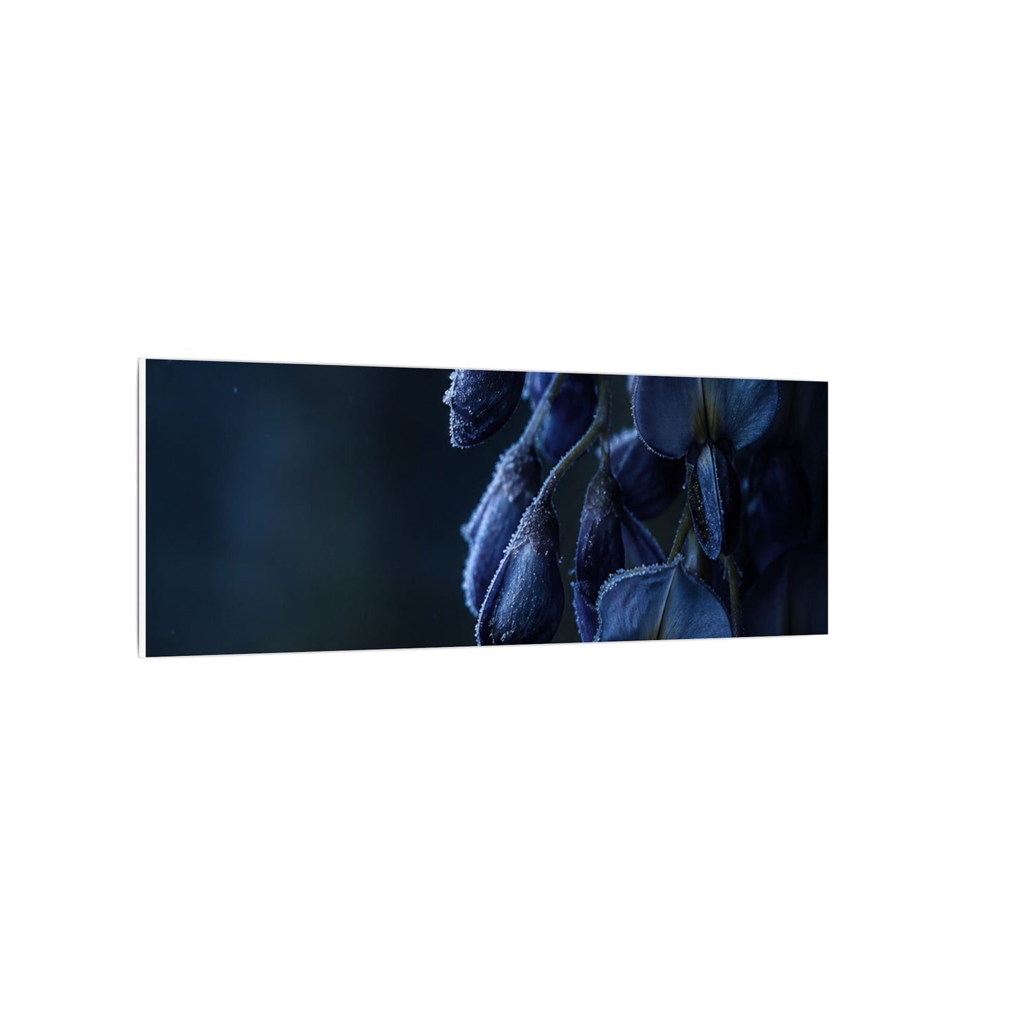 Winter Wisteria Shadow Zen Canvas Art | Atmospheric Decor
